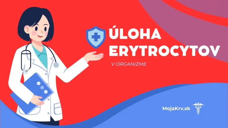 Erytrocyty - Úloha v Organizme